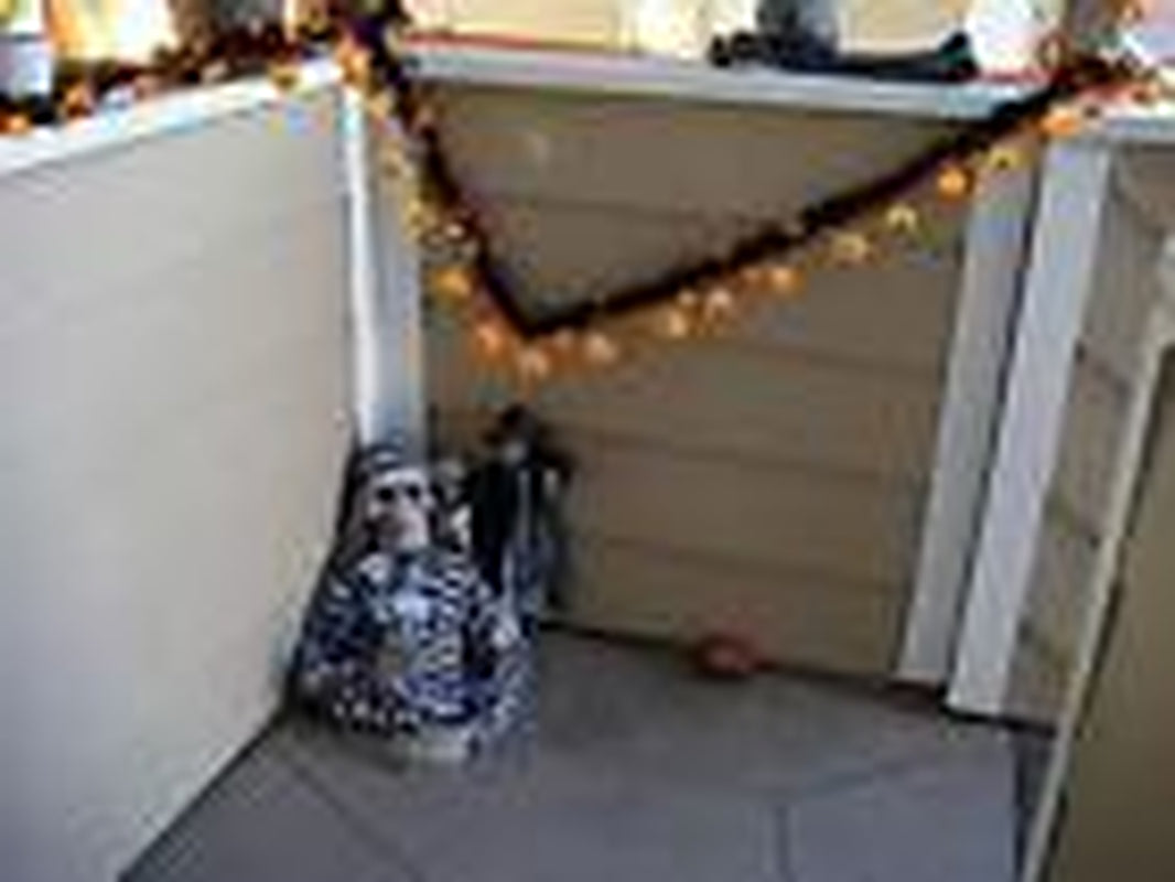 Halloween Solar Powered LED Jack O Lantern String Light 40 LED Pumpkin Light US