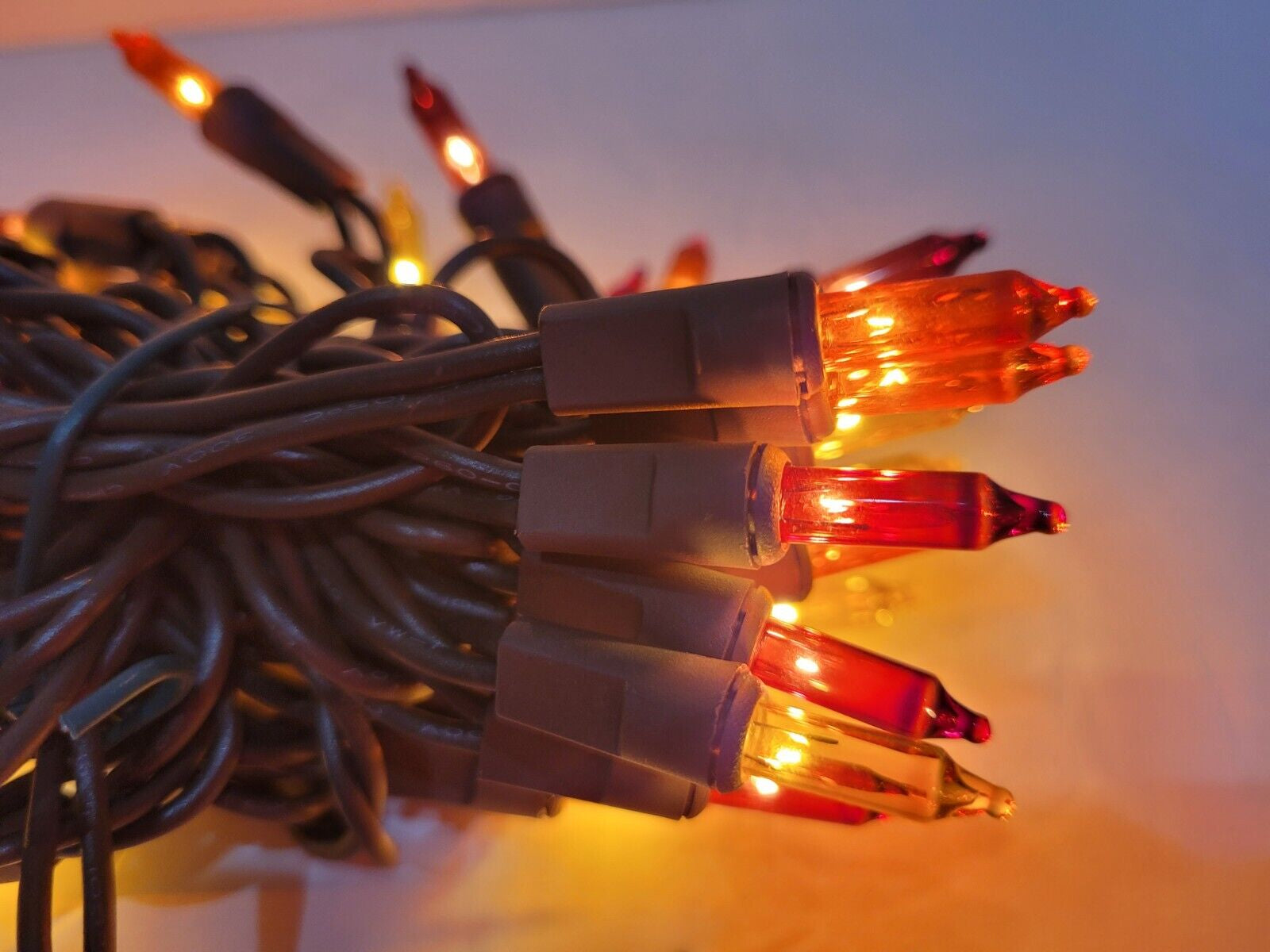 Thanksgiving Fall Harvest 50 String Lights Indoor/Outdoor Brown Yellow Orange