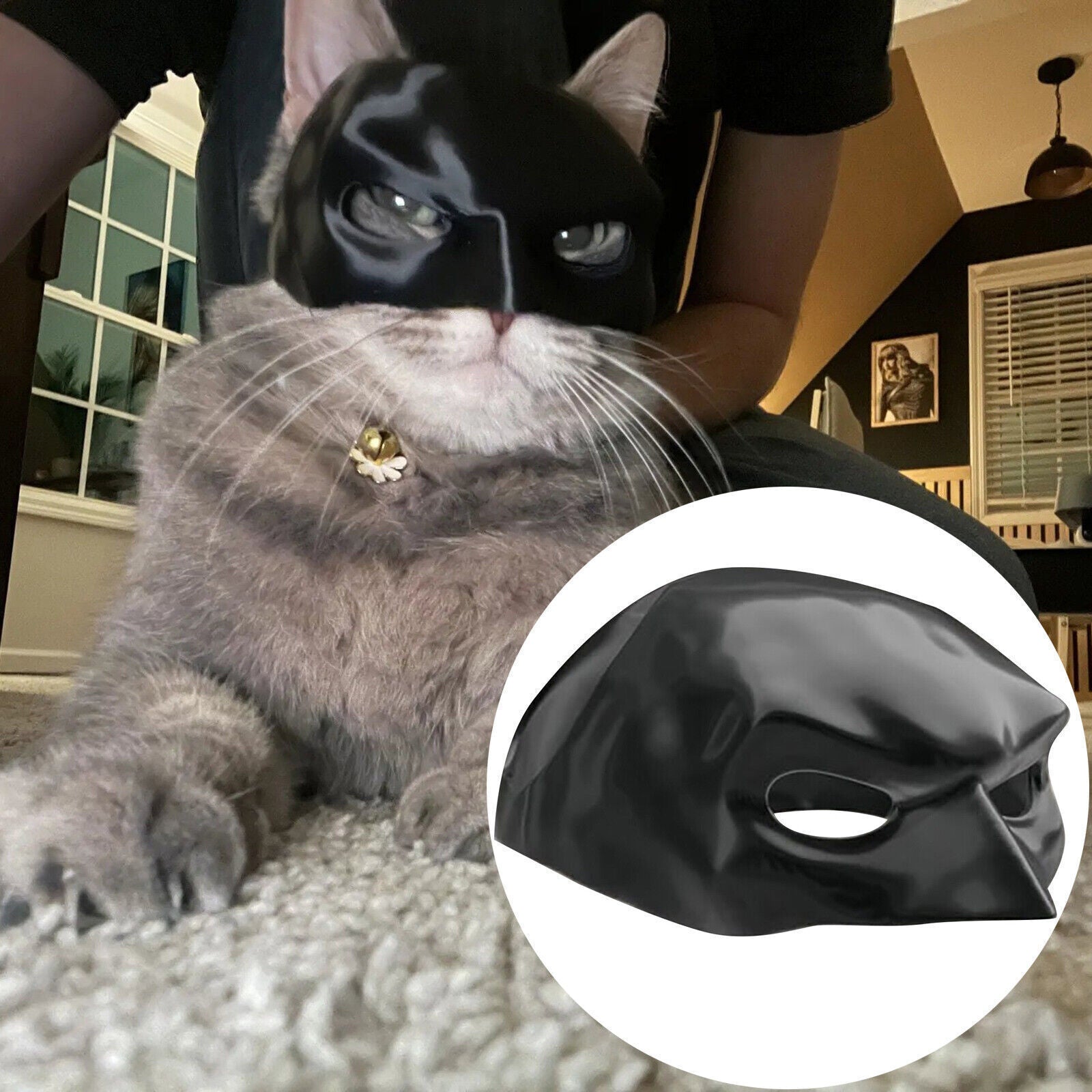 Funny Cat Bat Mask Halloween Puppy Hood Pet Cosplay Hat Small Dog Party Costumes