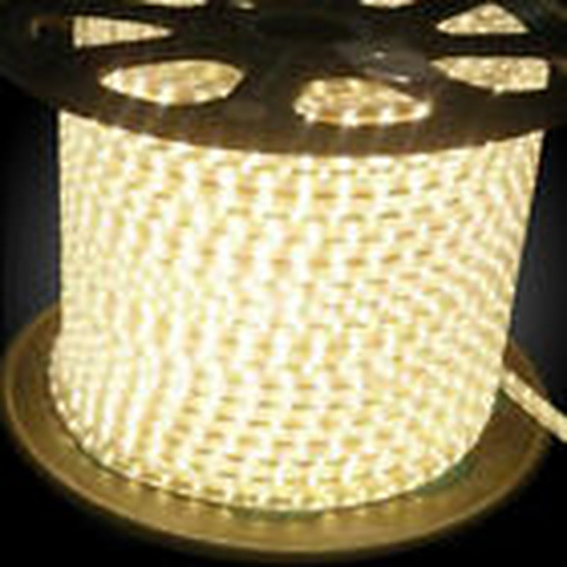 LED Rope Light 110V Garden Indoor Outdoor String Lighting Tube 50/150/100/300 Ft