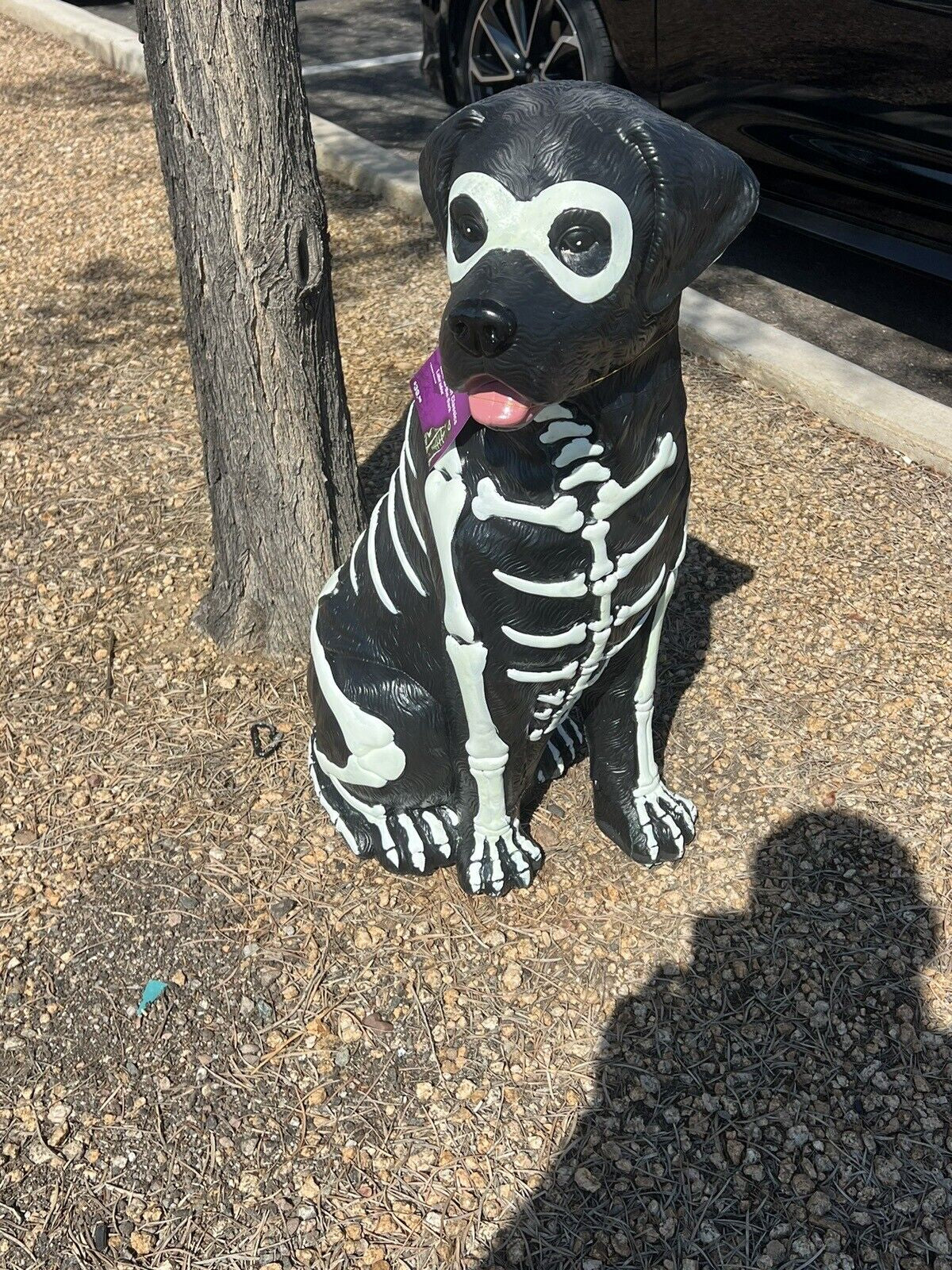Black Lab Halloween Dog Blow Mold 2024 Home Depot Labrador 2.5 Ft Glow in Dark