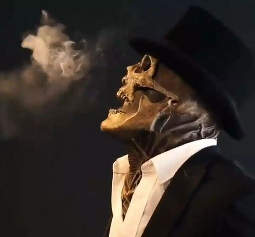 Halloween Skeleton Scary Mask Skull Full Head Cosplay Costume Horror Prop & Hat