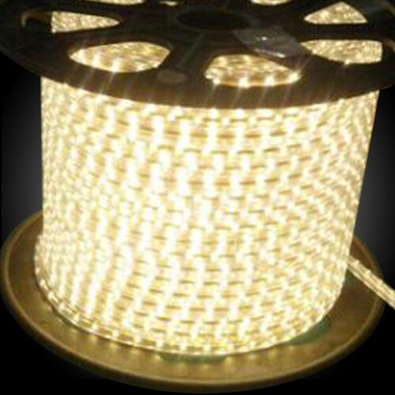 LED Rope Light 110V Garden Indoor Outdoor String Lighting Tube 50/150/100/300 Ft
