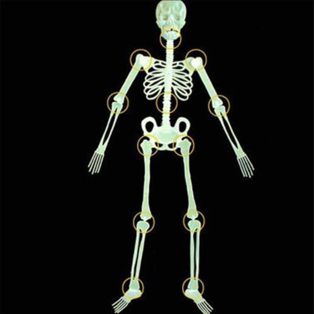 Halloween Scary Luminous Skeleton Glow Evil Hanging Decoration Outdoor for Party