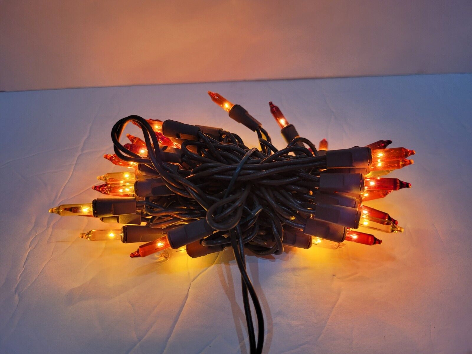 Thanksgiving Fall Harvest 50 String Lights Indoor/Outdoor Brown Yellow Orange