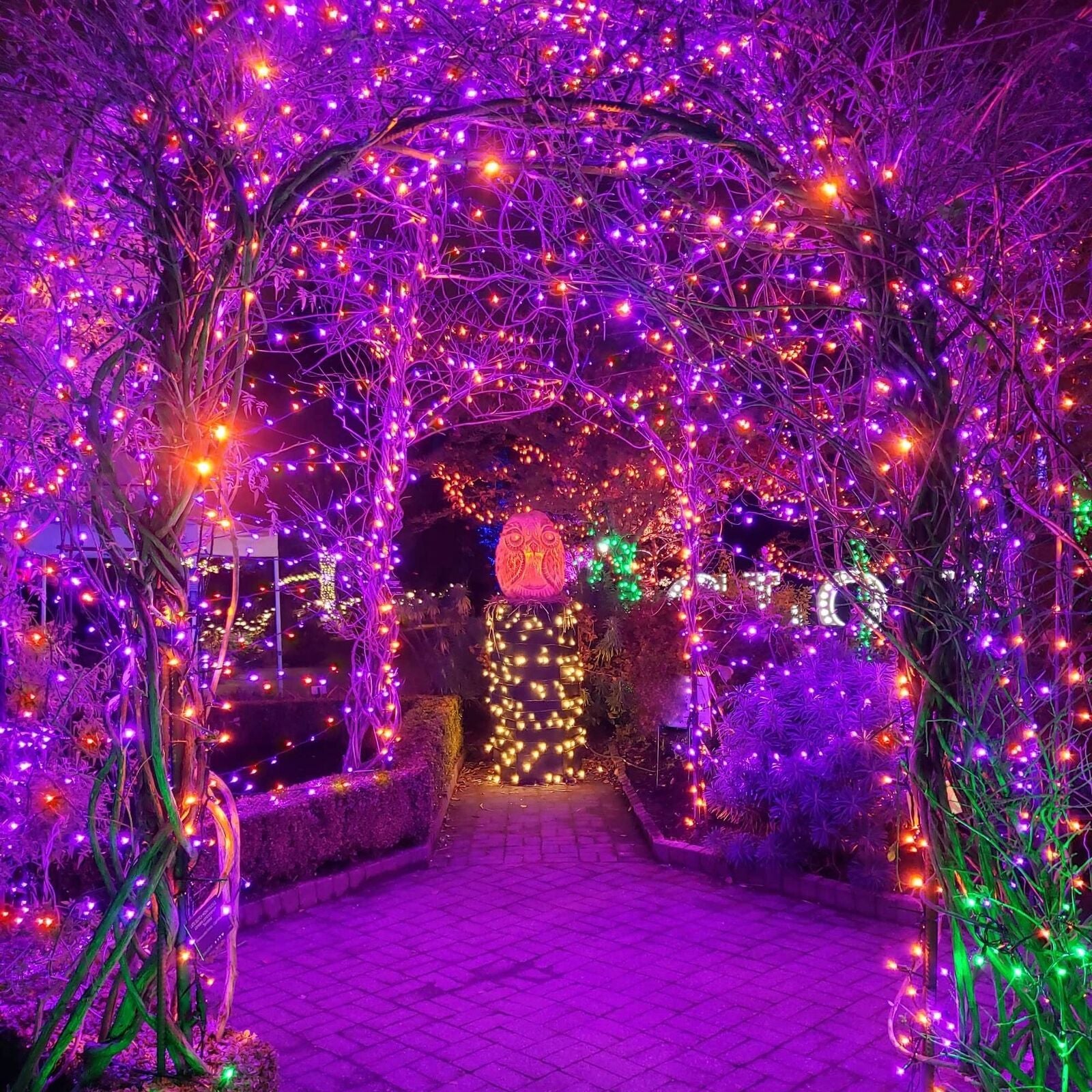 300 LED Orange&Purple Halloween Lights 99FT Connectable 8 Lighting Modes with M