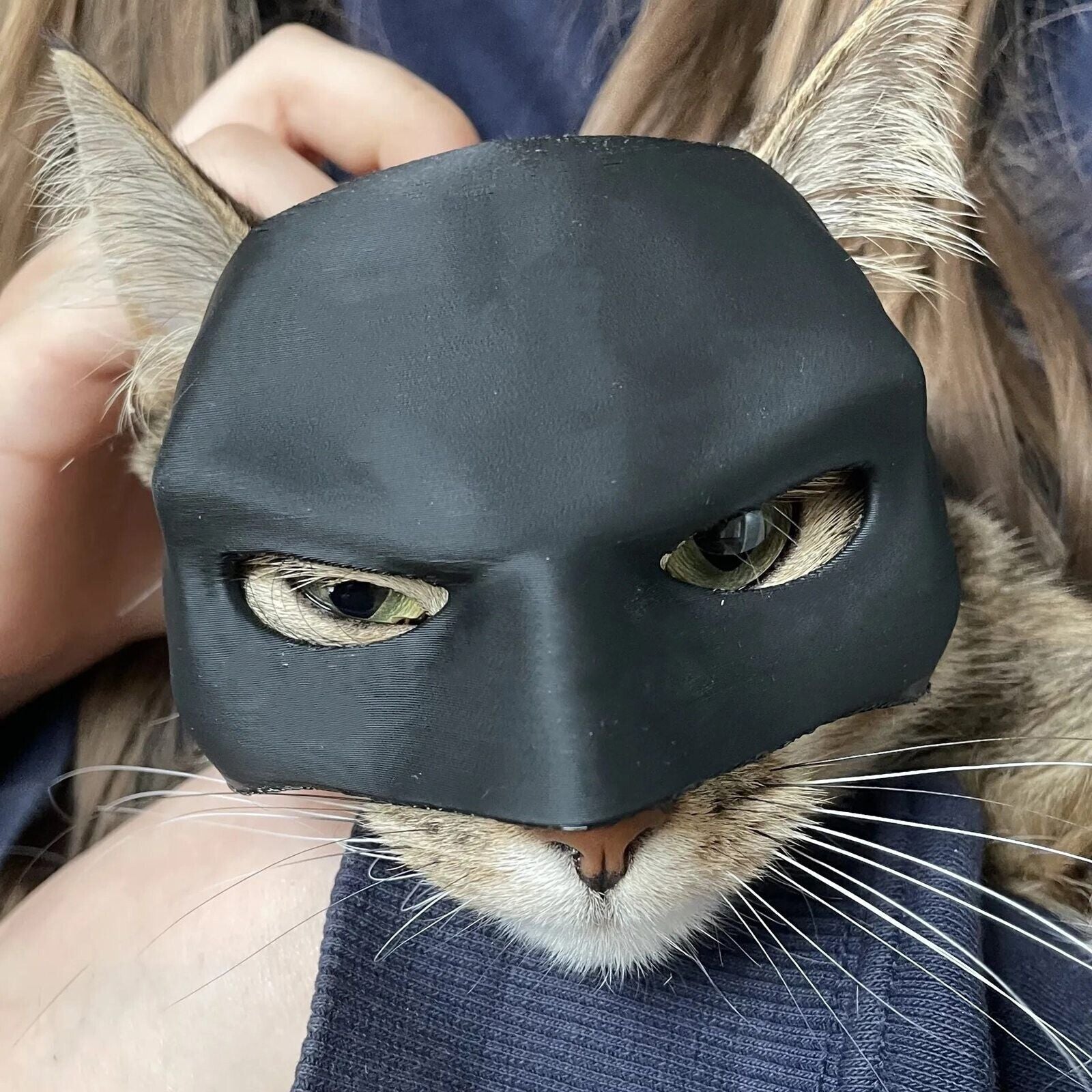 Funny Cat Bat Mask Halloween Puppy Hood Pet Cosplay Hat Small Dog Party Costumes