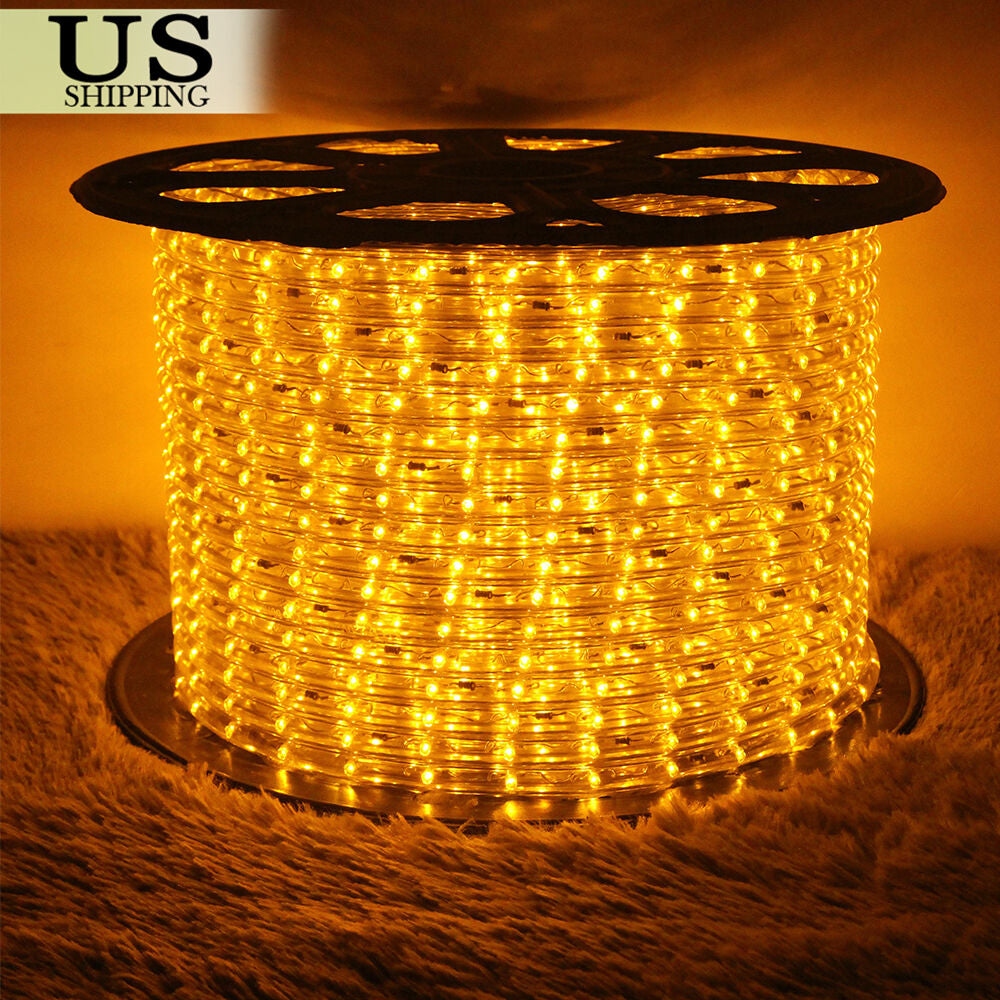 LED Rope Light 110V Garden Indoor Outdoor String Lighting Tube 50/150/100/300 Ft