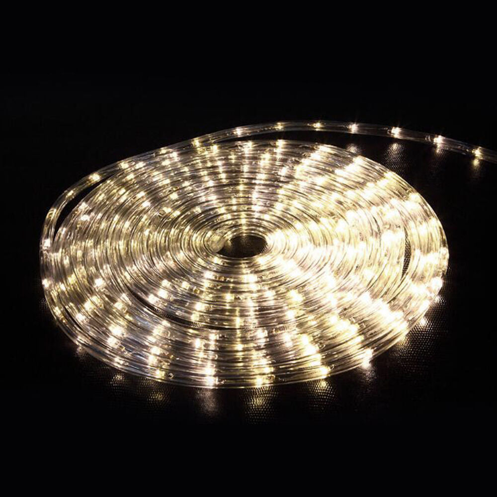 LED Rope Light 110V Garden Indoor Outdoor String Lighting Tube 50/150/100/300 Ft