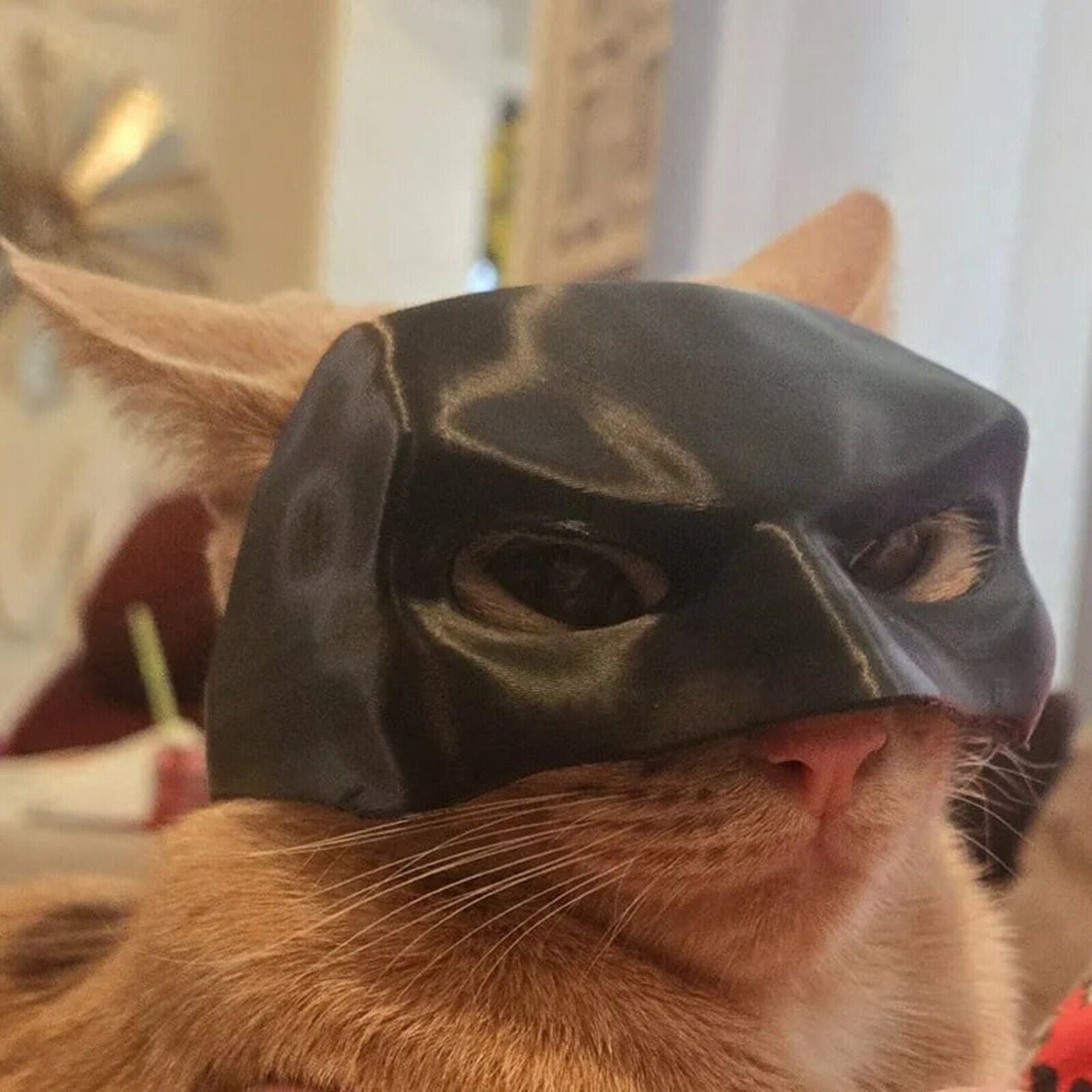 Funny Cat Bat Mask Halloween Puppy Hood Pet Cosplay Hat Small Dog Party Costumes