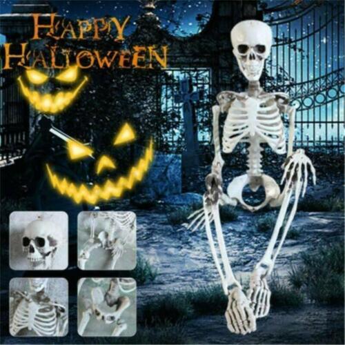 Halloween Poseable Full Life Skeleton Party Prop Decoration Human Anatomy Model