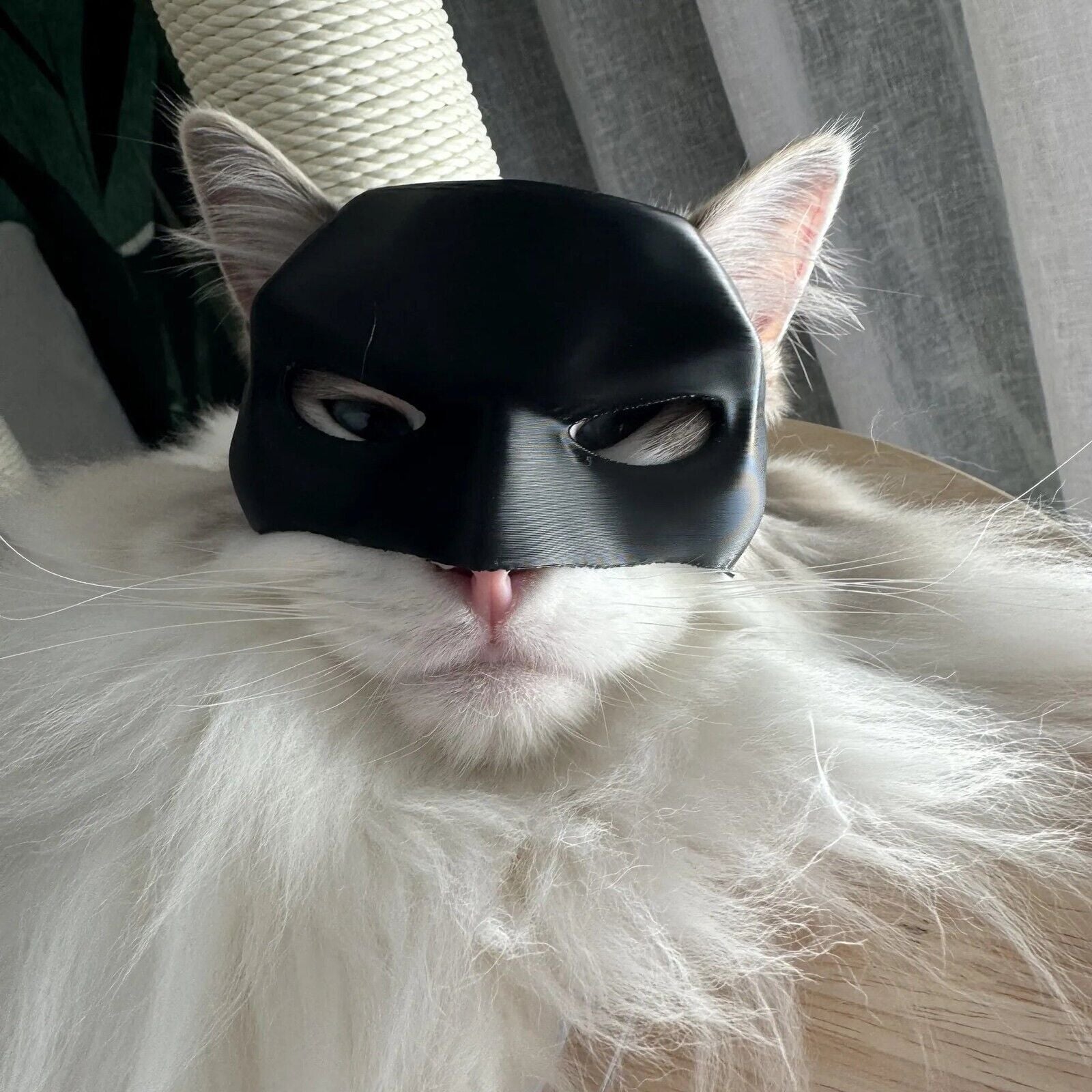 Funny Cat Bat Mask Halloween Puppy Hood Pet Cosplay Hat Small Dog Party Costumes