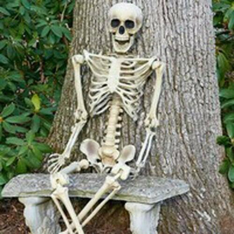 Halloween Poseable Full Life Skeleton Party Prop Decoration Human Anatomy Model