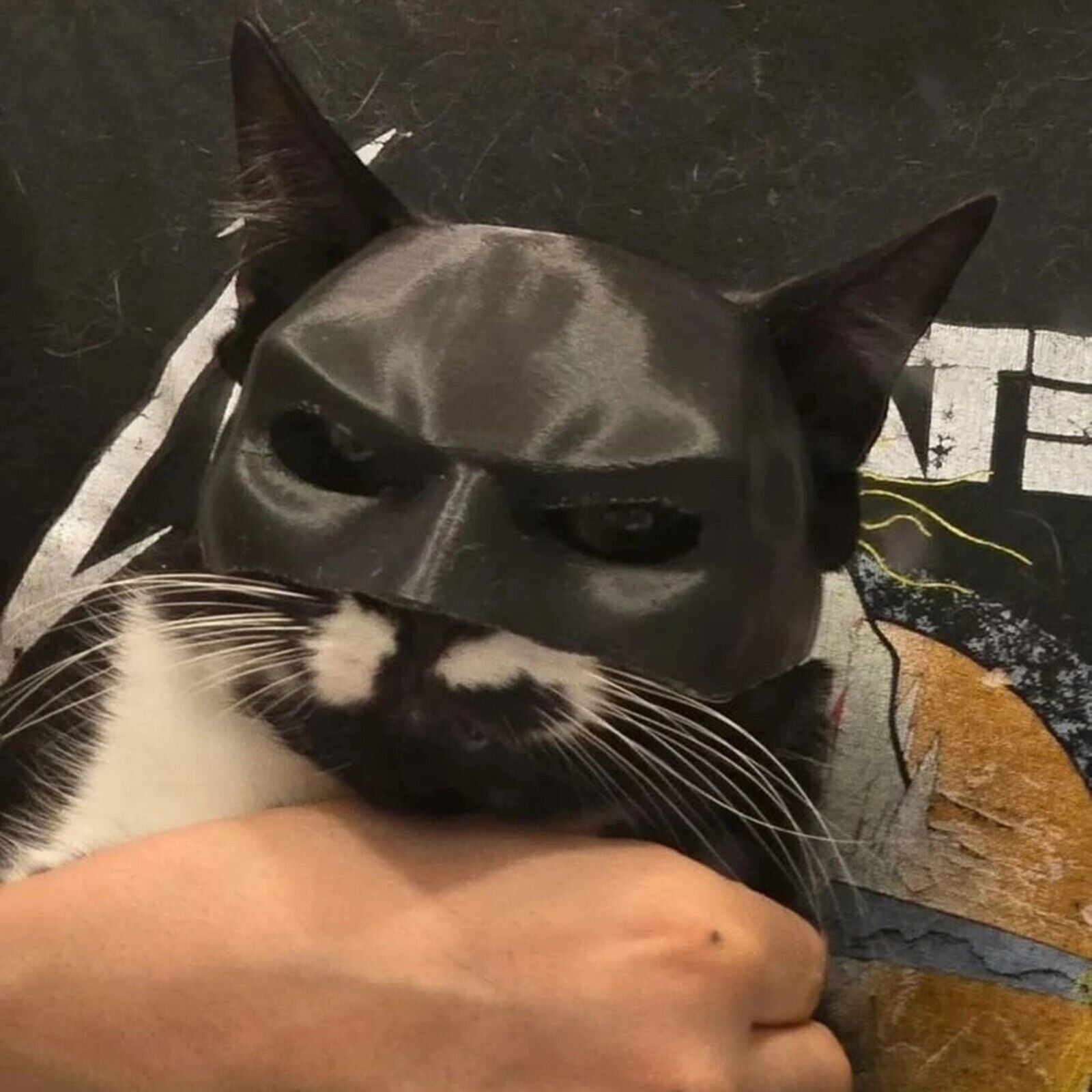 Funny Cat Bat Mask Halloween Puppy Hood Pet Cosplay Hat Small Dog Party Costumes