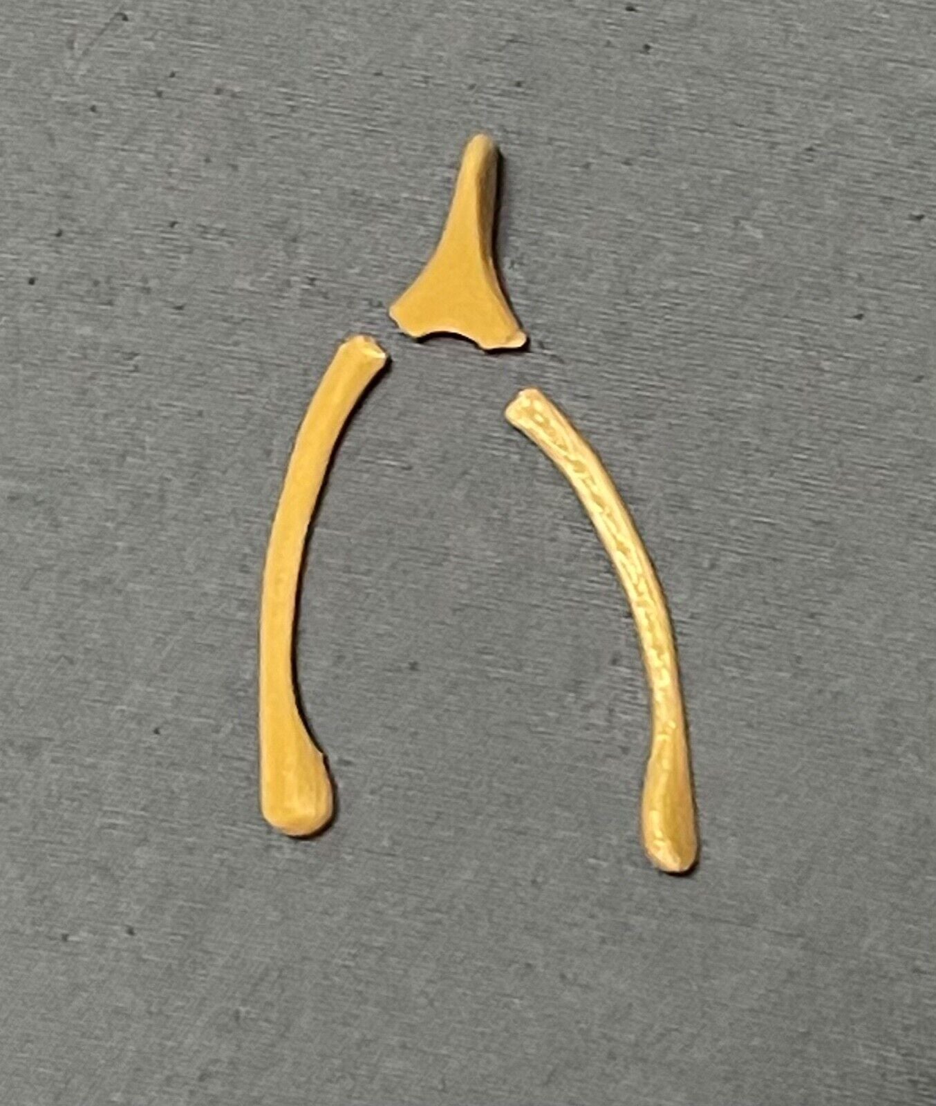 Breakable Wishbones (Set of 5)- Thanksgiving