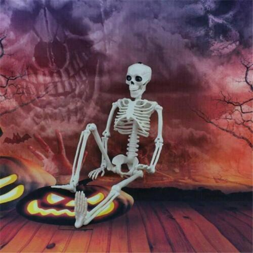 Halloween Poseable Full Life Skeleton Party Prop Decoration Human Anatomy Model
