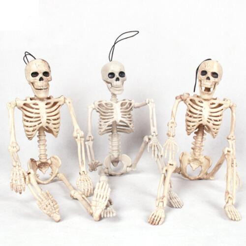 Halloween Poseable Full Life Skeleton Party Prop Decoration Human Anatomy Model